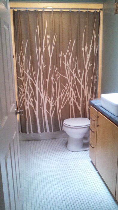 Bathroom - 444 N Tioga St