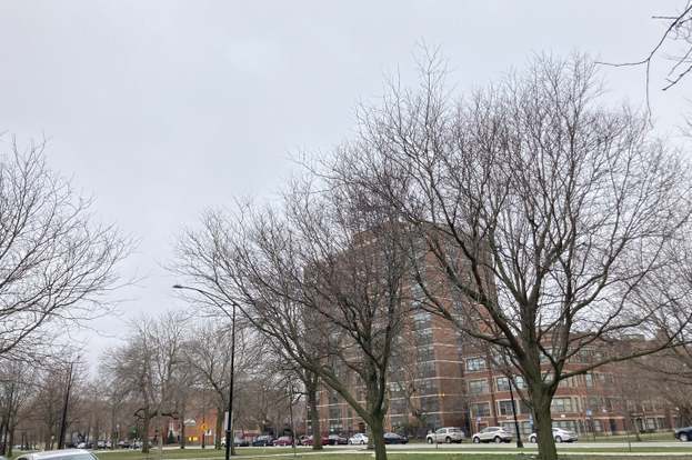Building Photo - 4531 S Drexel Blvd