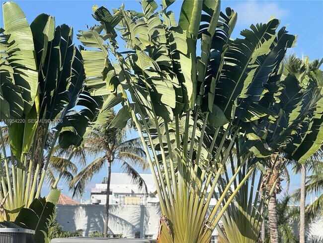 Building Photo - 1559 Michigan Ave