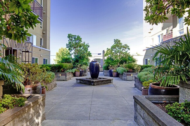 Building Photo - Prime Capitol Hill Top-Floor 1-Bed Condo w...