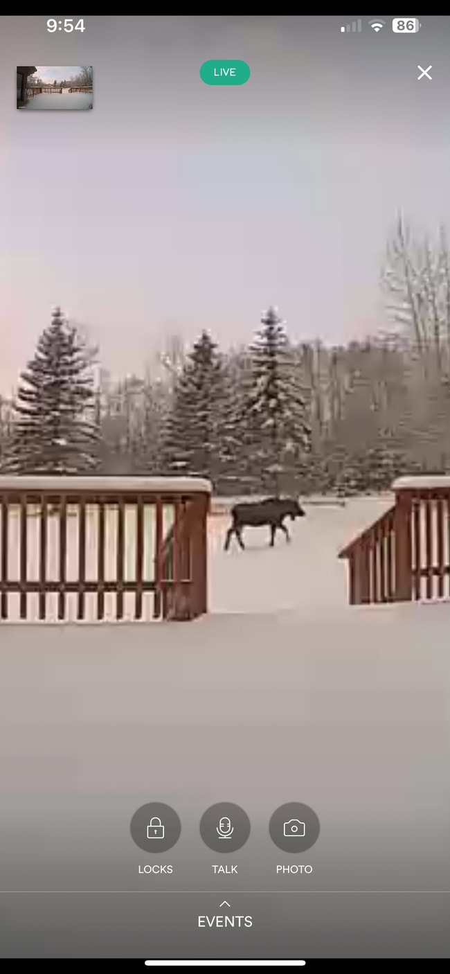 Building Photo - “A Slice Of Moose Paradise”