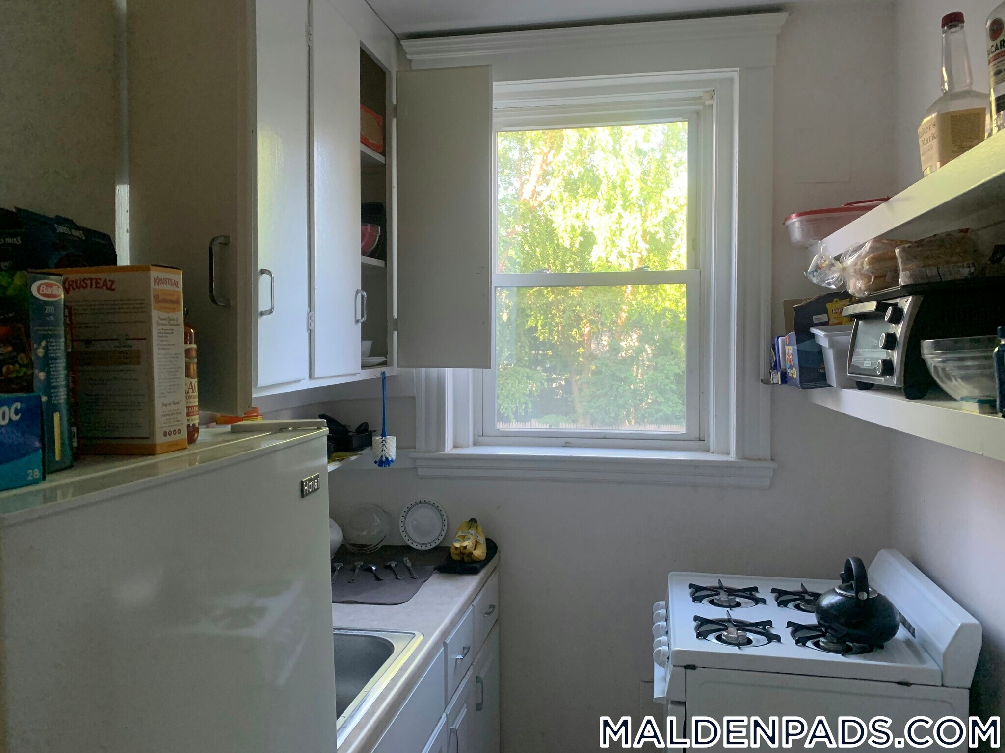 Building Photo - 170 Maple St