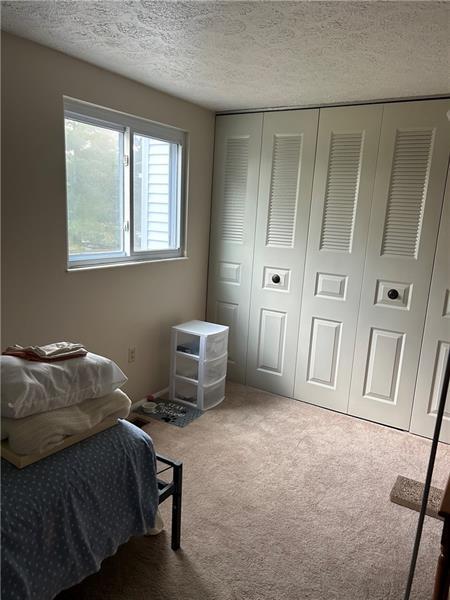 Building Photo - 903 Lynwood Ct