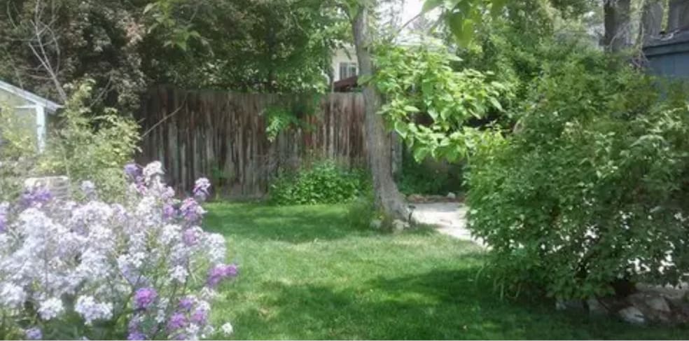 Building Photo - 1143 E Bueno Ave