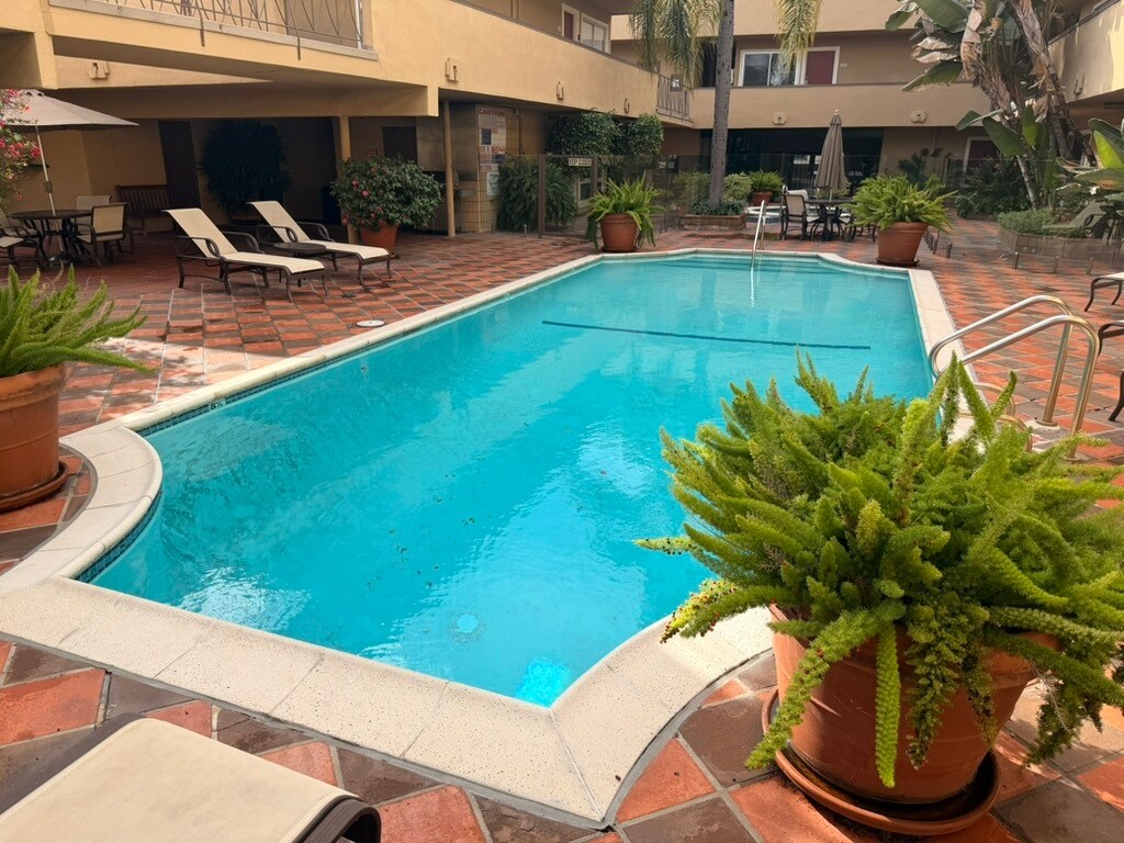 Full-length heated pool in a lushly landscaped, gated courtyard - 970 Palm Avenue