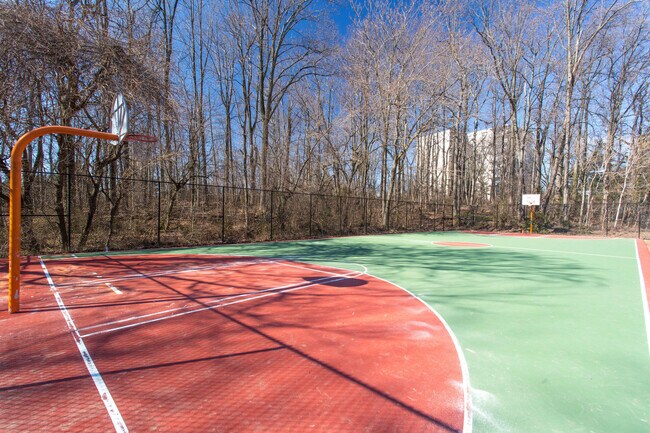Basketball - 6143 Leesburg Pike