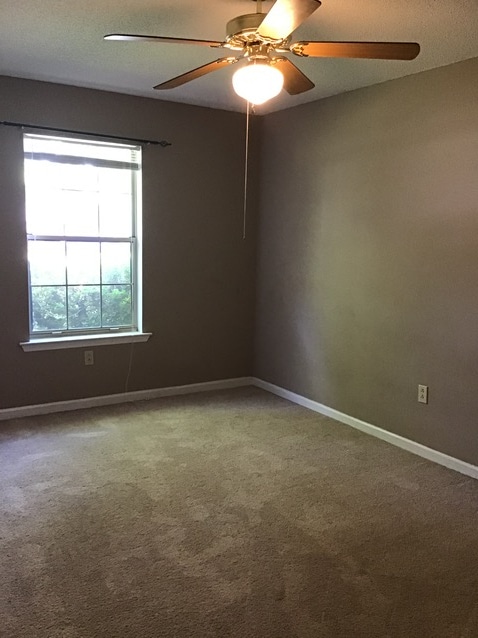 Building Photo - 907 Canyon Ct