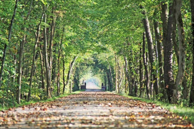 Building Photo - 10268 Cleveland Rd