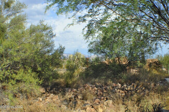 Building Photo - 5426 W Dove Mountain Park Rd
