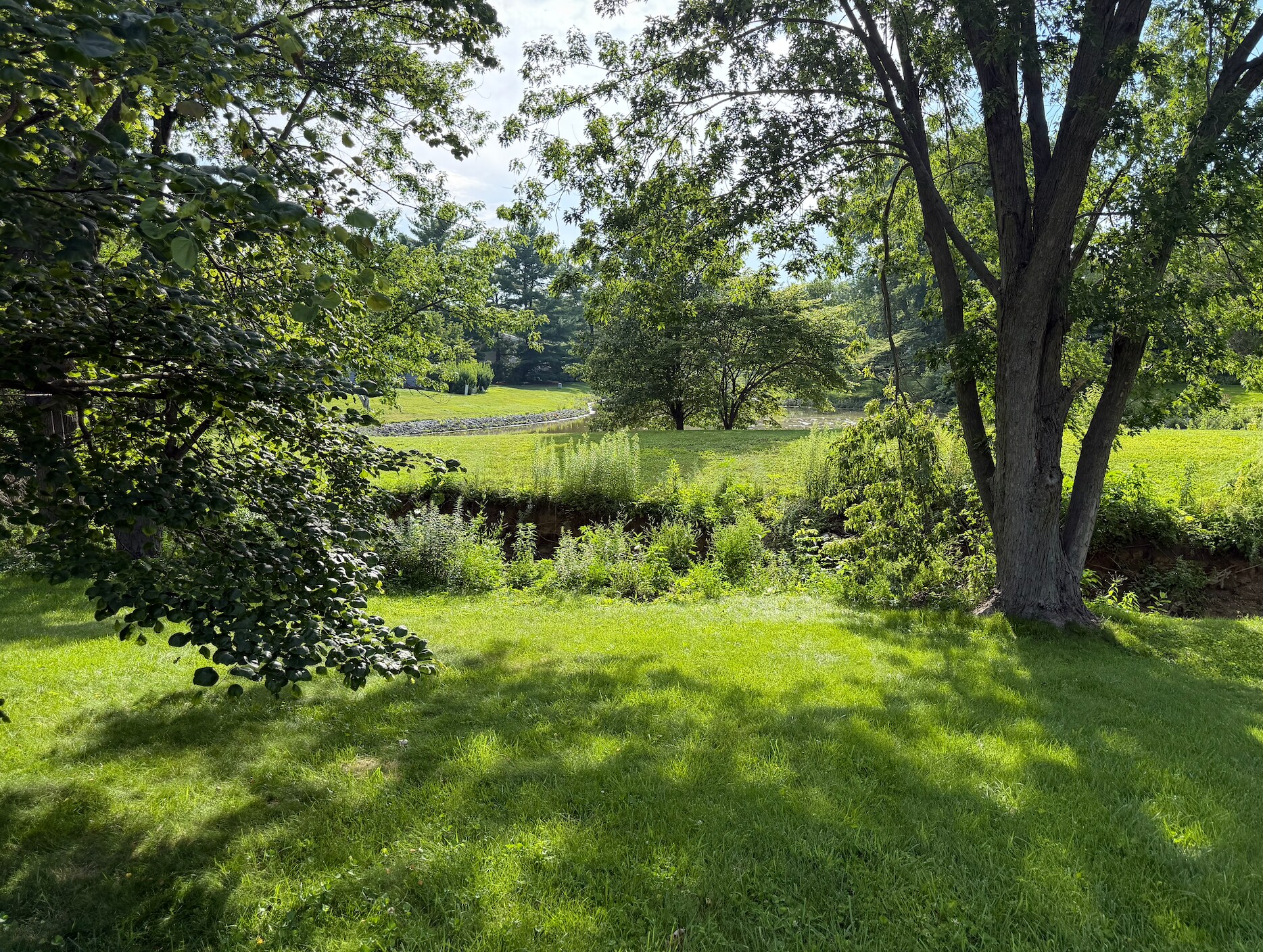 Building Photo - 2115 Ivy Ct