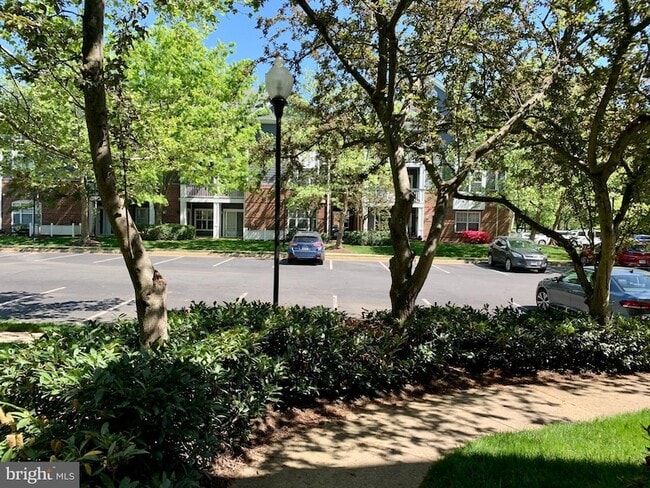 Building Photo - 20301 Beechwood Terrace