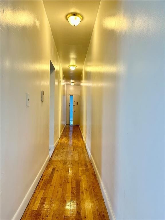 Building Photo - 883 E 165th St