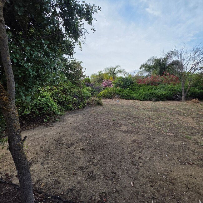 Building Photo - 3bd/2ba Single Story, Fresh Updates, Huge Backyard