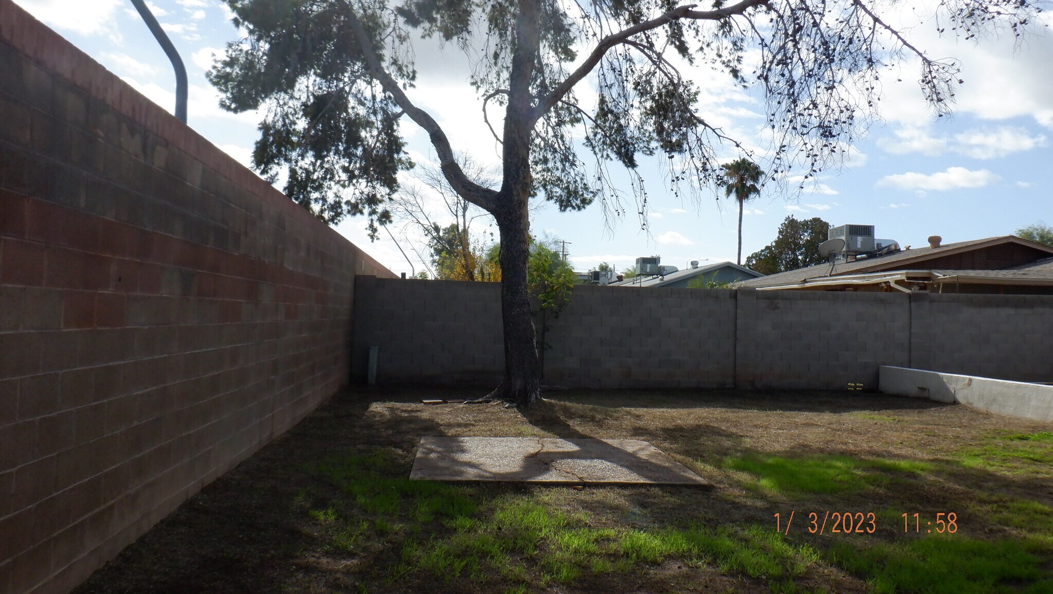 back yard - 563 N Santa Anna