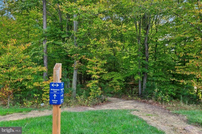 Building Photo - 238 Narrowleaf Way