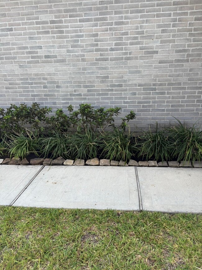 Building Photo - 10818 Catclaw Ct