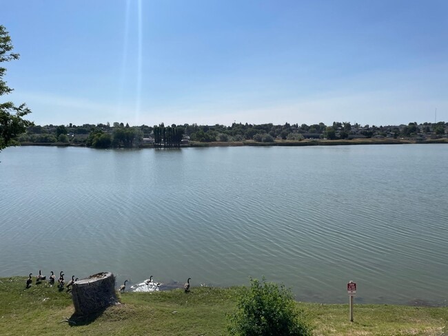 Primary Photo - 2BR 1BA Duplex On Lake!!