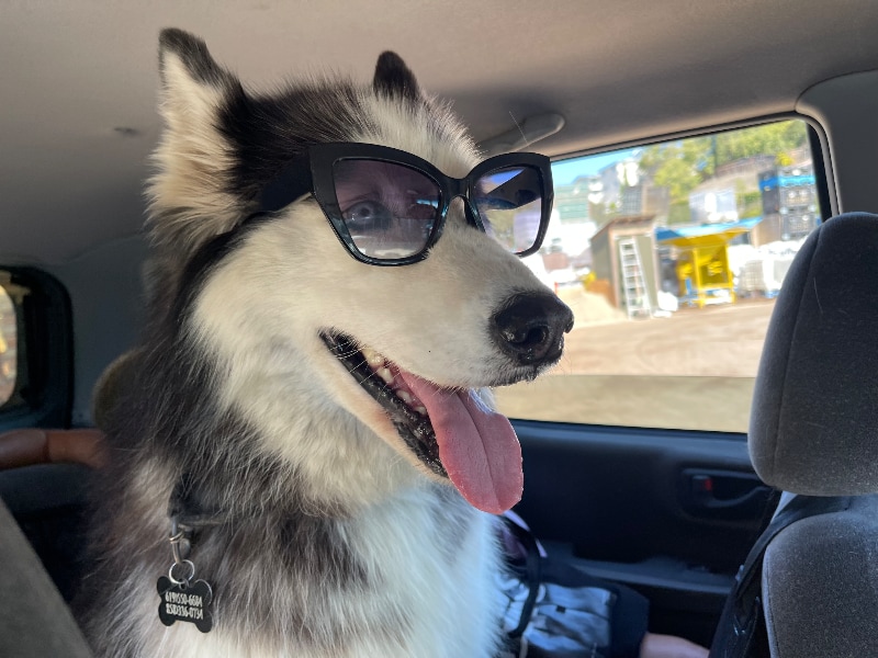 Building Photo - 1503 Republic St