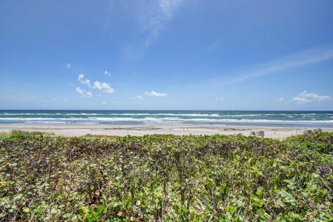 Building Photo - 3009 S Ocean Blvd