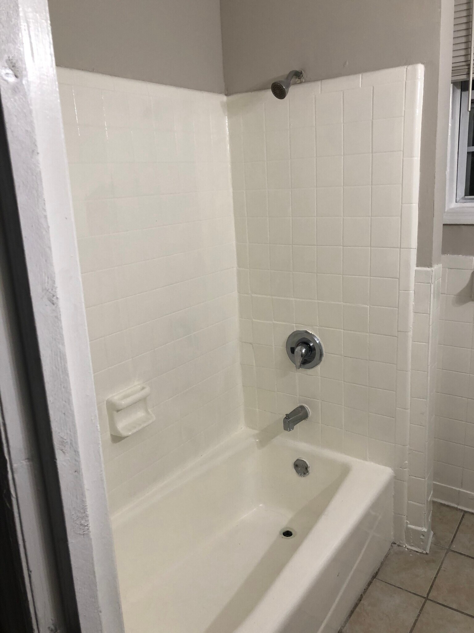 Apt. D Bathroom - 1107 E Anderson St