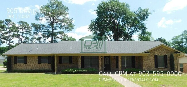 Building Photo - 905 David Dr
