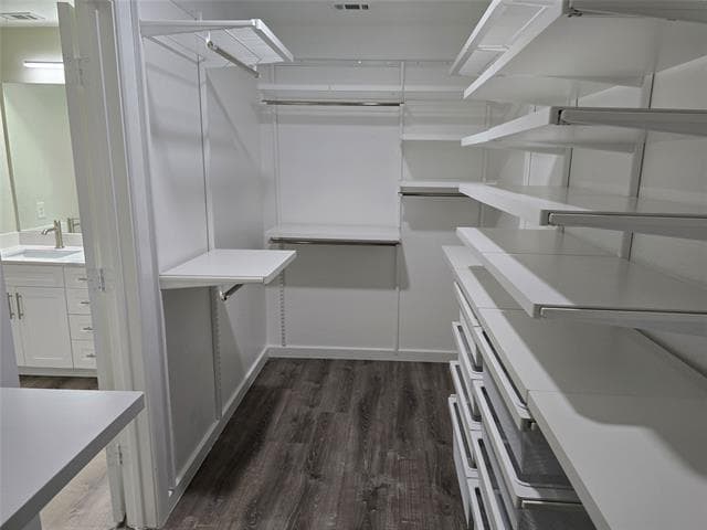 Building Photo - 1013 Riverstone Trl
