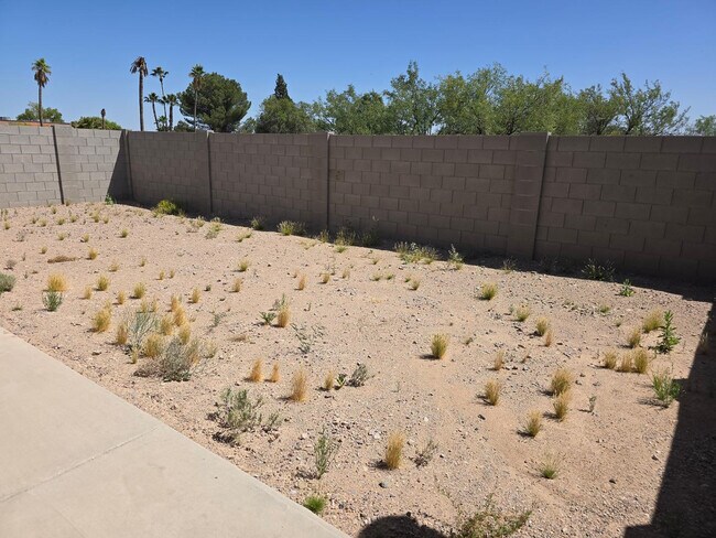 Building Photo - 737 Dylan Ct