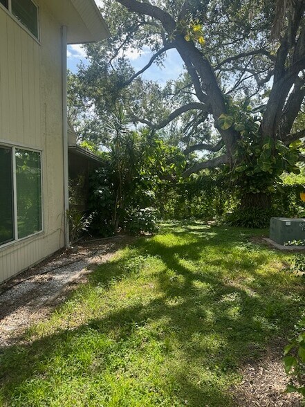 Side yard of home - 310 Barlow Ave