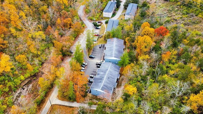 Building Photo - 5617 Happy Hollow Rd