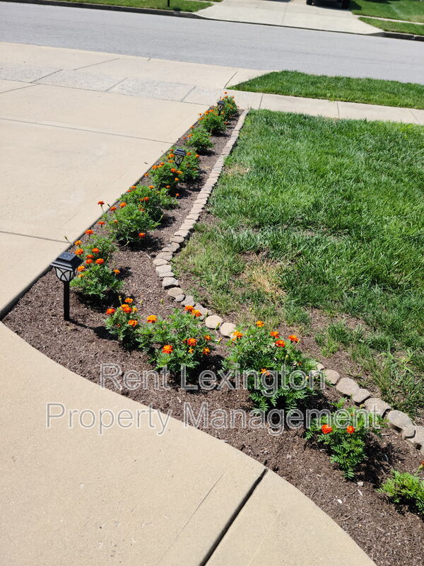 Building Photo - 111 High Hope Ln