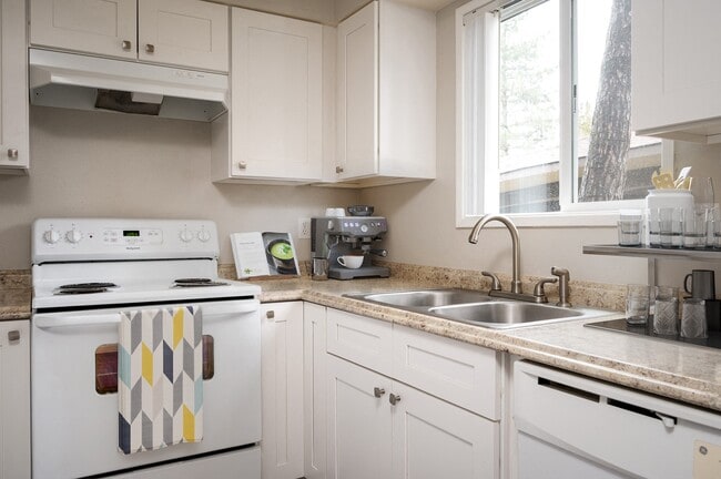 Forest Ridge | Kitchen - Forest Ridge Apartments