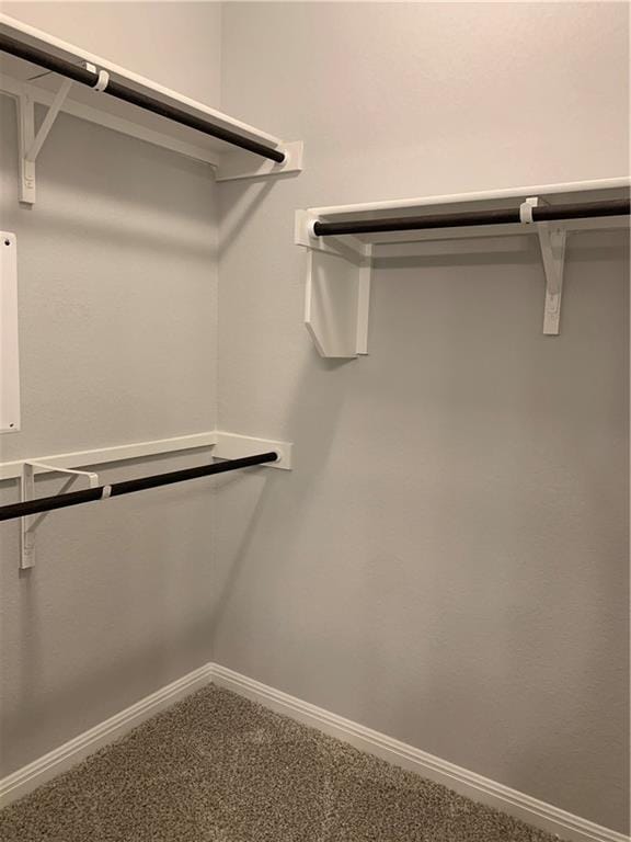 Building Photo - 2336 Pecan Island Dr