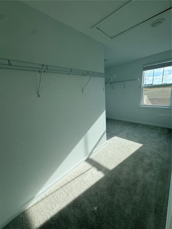Building Photo - 13007 Tollcross Wy