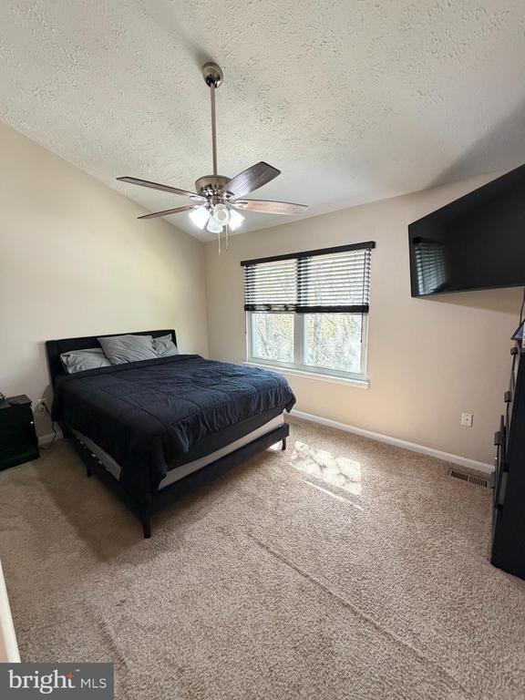 Building Photo - 7212 Tamo Ct