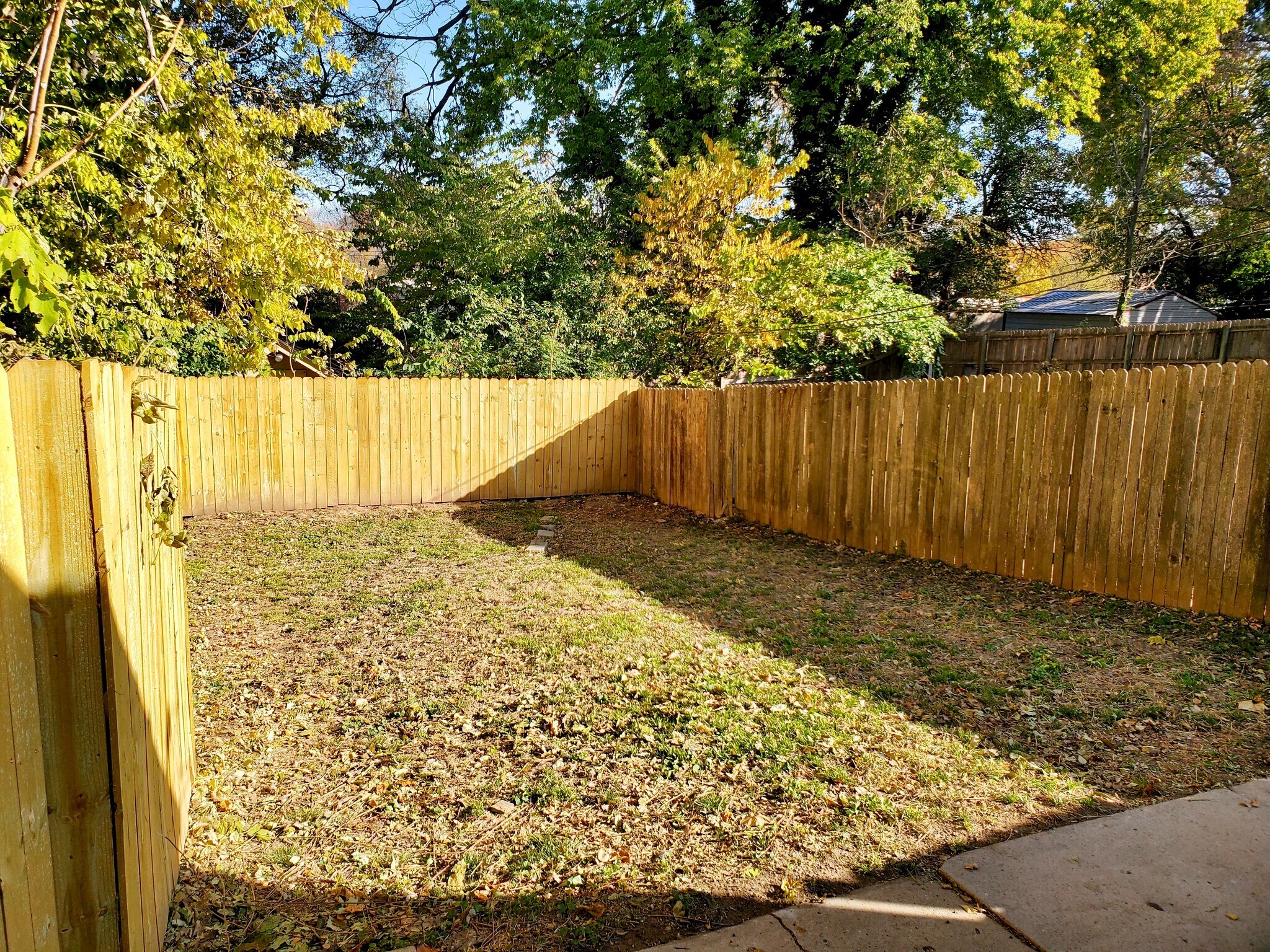 Back Yard - 2529 Charlotte St