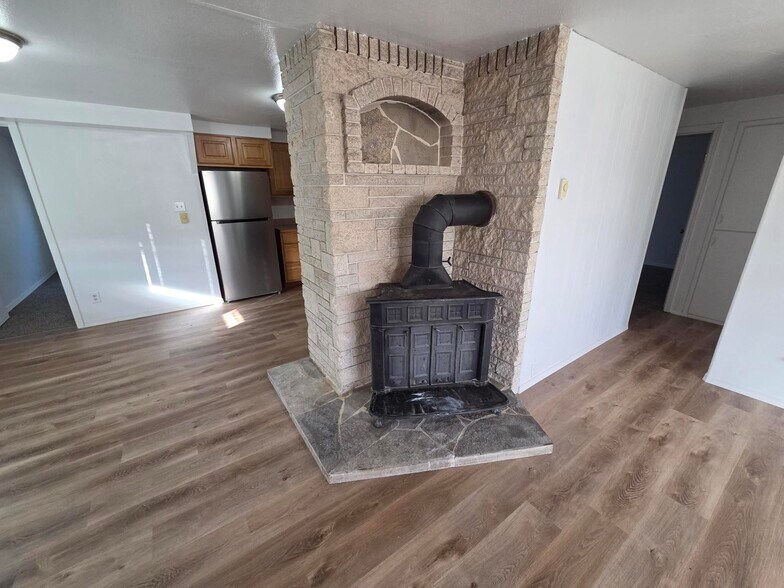FIREPLACE - 258 Knolls Vista Dr