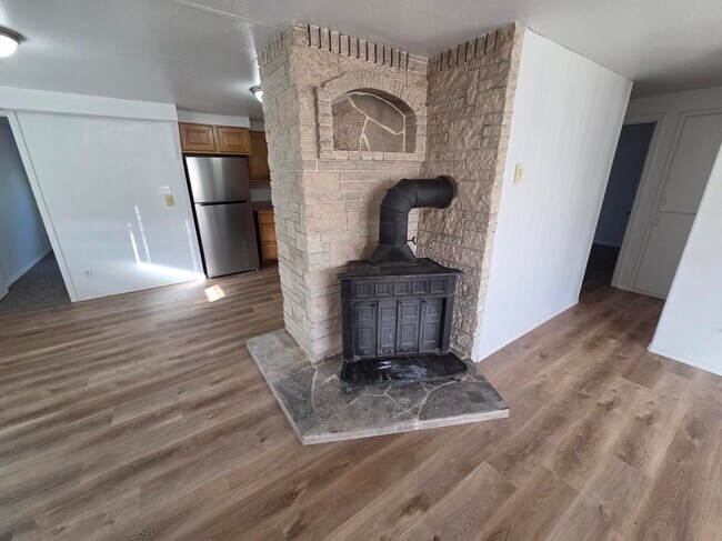 FIREPLACE - 258 Knolls Vista Dr
