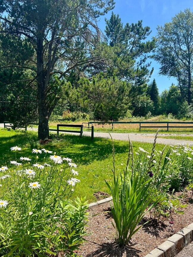 Building Photo - 3+ BD on 2 Acres - Barn Included