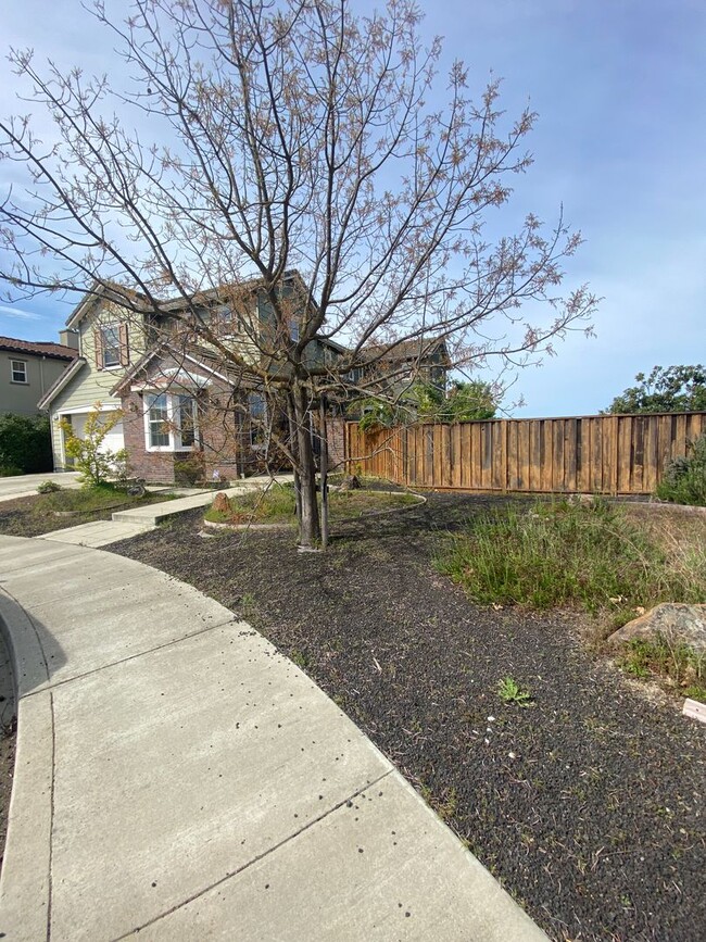Building Photo - San Ramon 5 Bed/4.5 Bath Windemere Ranch L...