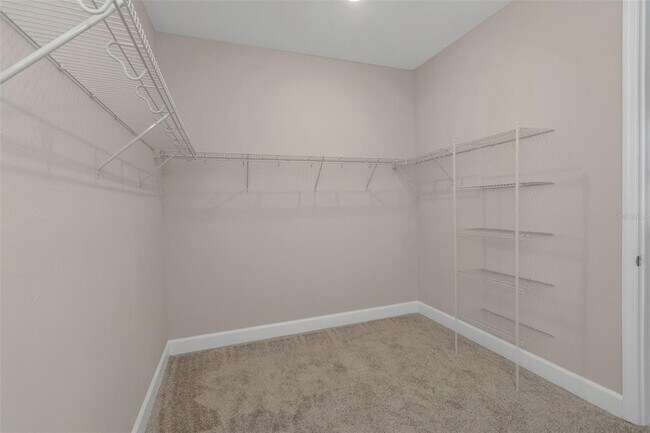 Building Photo - 2676 Leafwing Ct