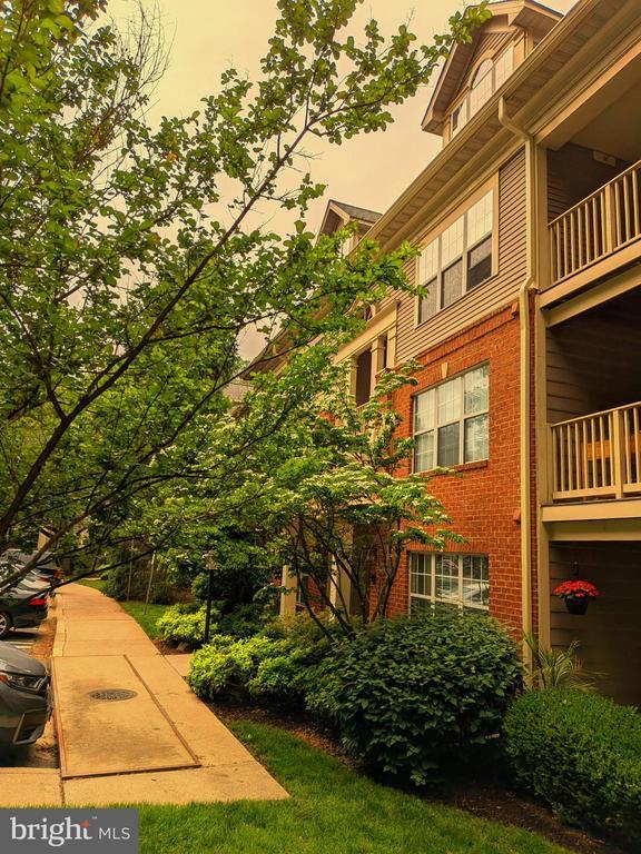 Building Photo - 109 Timberbrook Ln