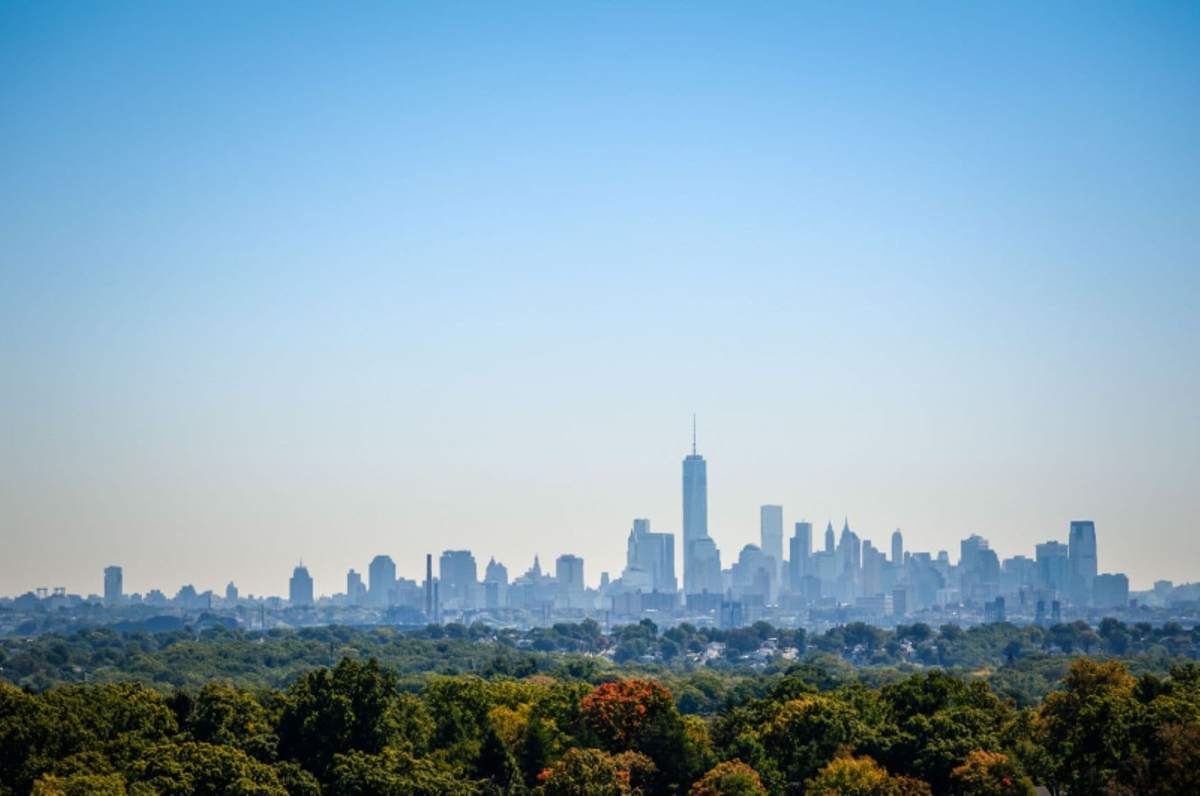 View from Roof Deck - 5 Roosevelt Pl