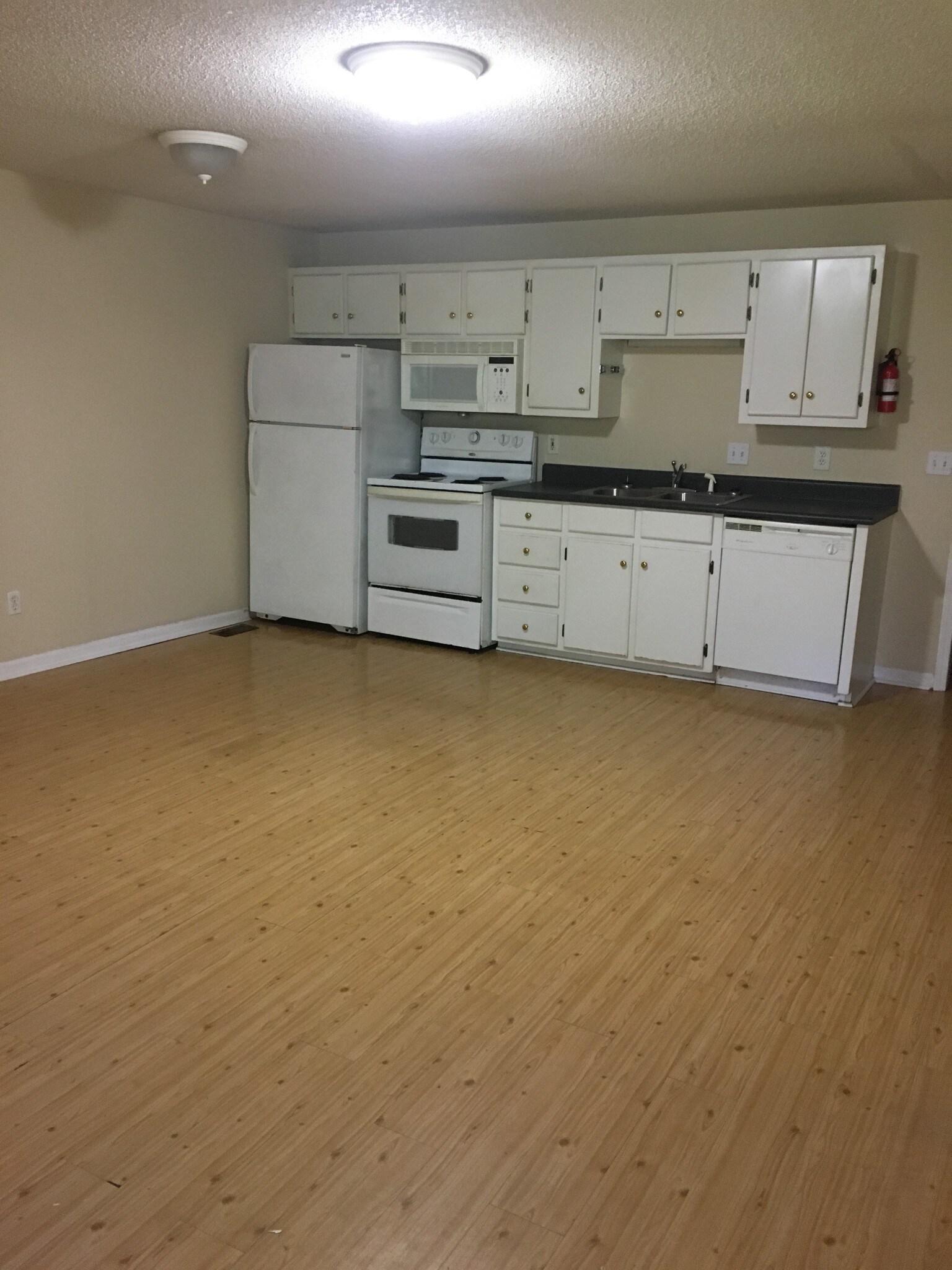 Living room/kitchen - 124 Sky Harbor Rd