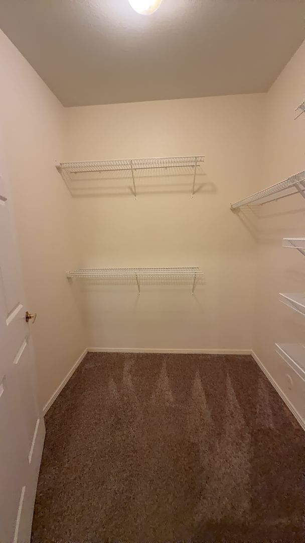 Building Photo - Beautiful 3 Bed, 2 Bath Condo in NW Fort Collins!