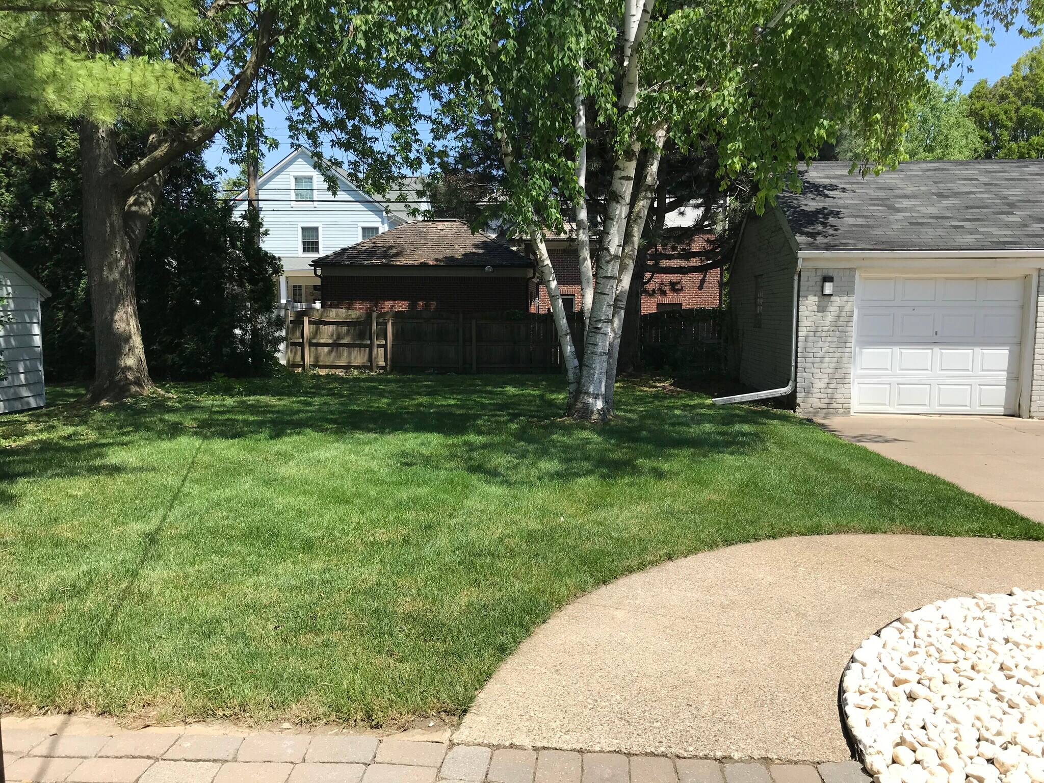 Backyard - Summer - 997 Henrietta St