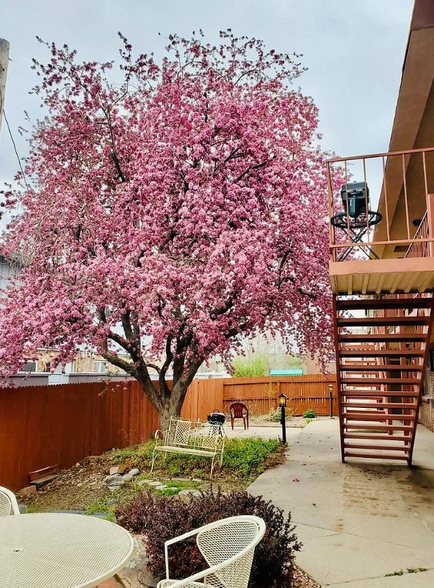 Building Photo - 3300 S Clarkson St