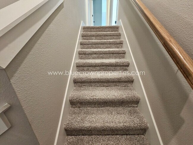 Building Photo - 1800 Aleia Cv