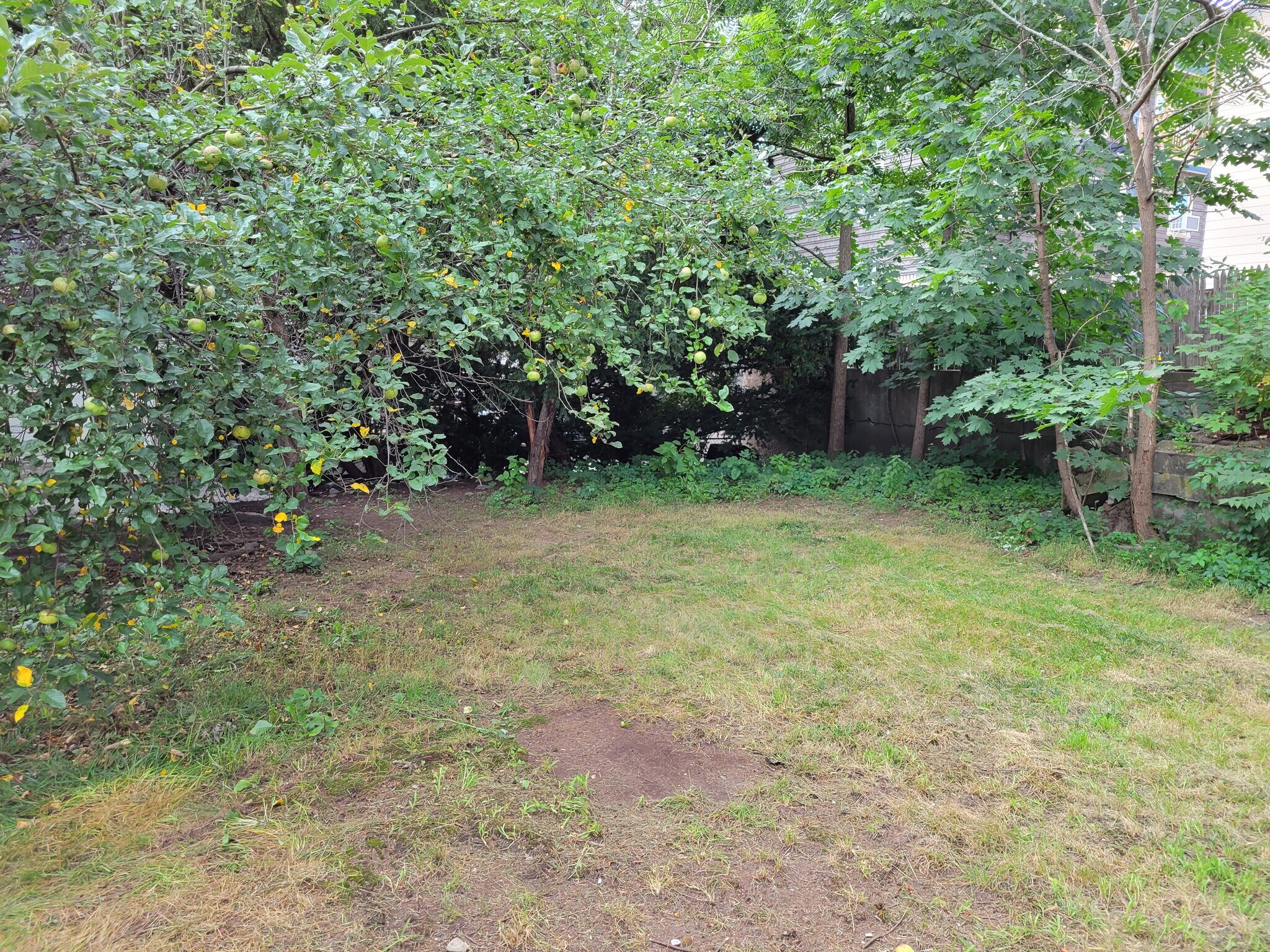Yard - 27 Phebe St