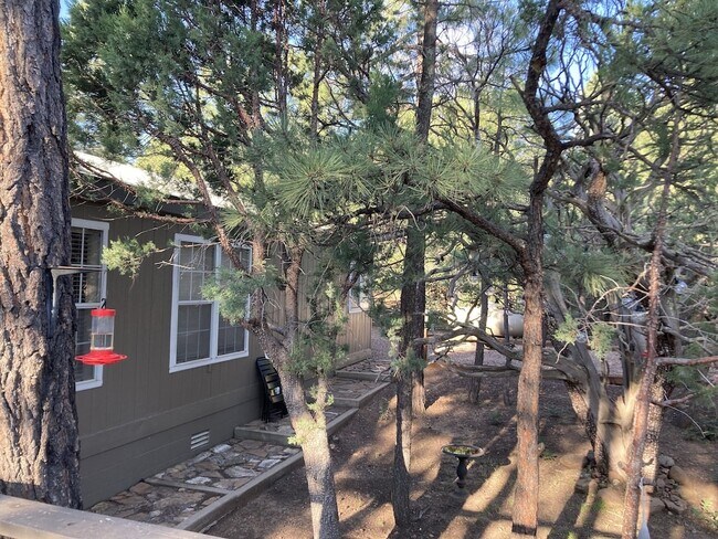 Building Photo - 3239 Pine Needle Dr