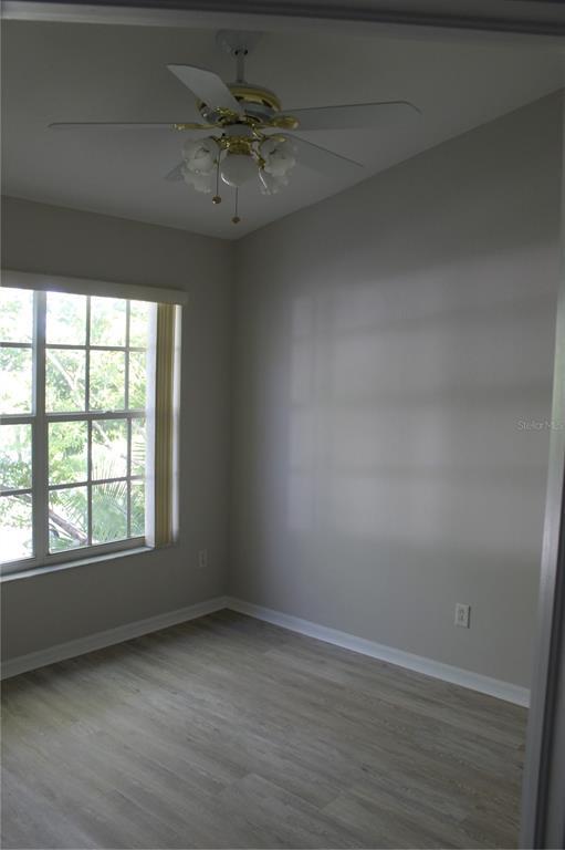 Building Photo - 11737 Carrollwood Cove Dr